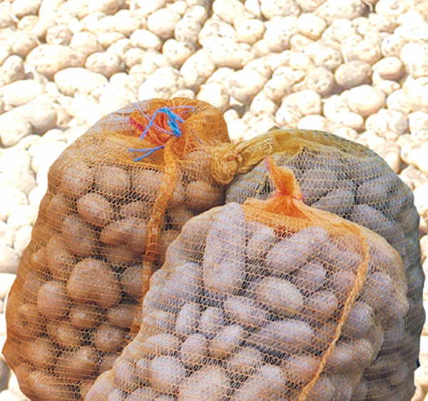 AMAGOSA - Kartoffelsäcke - Sac à pommes de terre